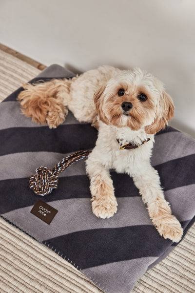 product image for kaya dog blanket large 5 78