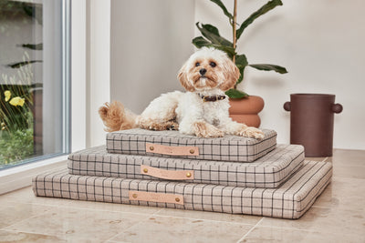 product image for milo grid dog cushion 15 45