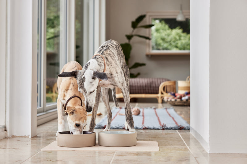 media image for sia dog bowl medium 7 243