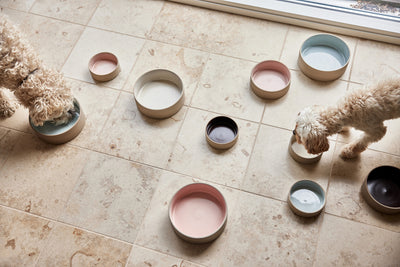 product image for sia dog bowl medium 6 67