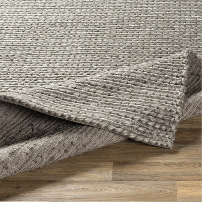 product image for Ozark OZK-2300 Hand Woven Rug in Light Gray & Ivory by Surya 4