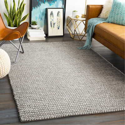 product image for Ozark OZK-2300 Hand Woven Rug in Light Gray & Ivory by Surya 6