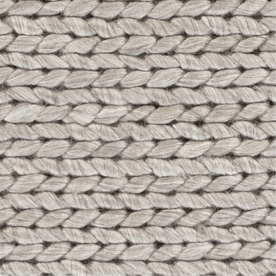 product image for Ozark OZK-2300 Hand Woven Rug in Light Gray & Ivory by Surya 30