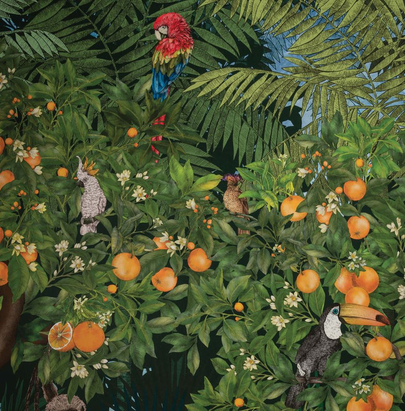 media image for Orange Grove Wallpaper in Multi from the Daydreams Collection by Matthew Williamson for Osborne & Little 225