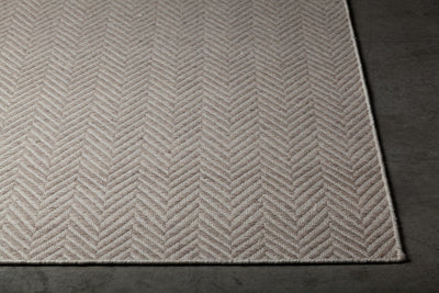 product image for paisley grey hand woven chevron pattern rug by chandra rugs pai47302 576 3 81