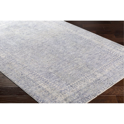 product image for Presidential PDT-2320 Rug in Medium Grey & Bright Blue by Surya 98