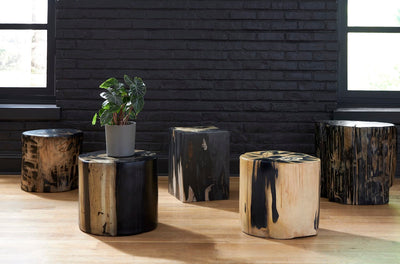 product image for Cast Petrified Black Gold Wood Stool By Phillips Collection Ph89728 5 15