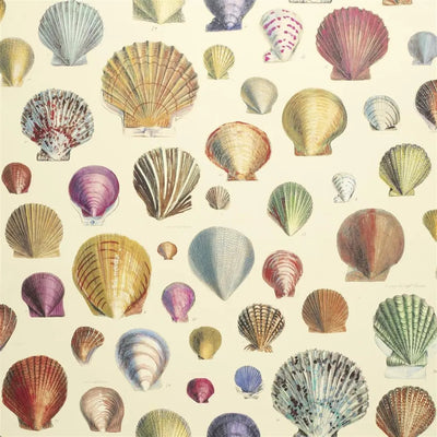 product image of Captain Thomas Browns Shells Sepia Wallpaper by John Derian for Designers Guild 52