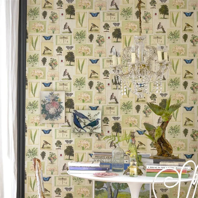 product image for Flora and Fauna Parchment Wallpaper by John Derian for Designers Guild 7