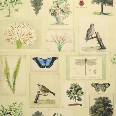 product image of Flora and Fauna Parchment Wallpaper by John Derian for Designers Guild 53