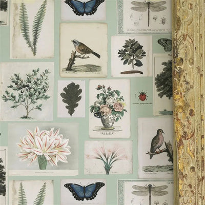 product image for Flora and Fauna Cloud Blue Wallpaper by John Derian for Designers Guild 67