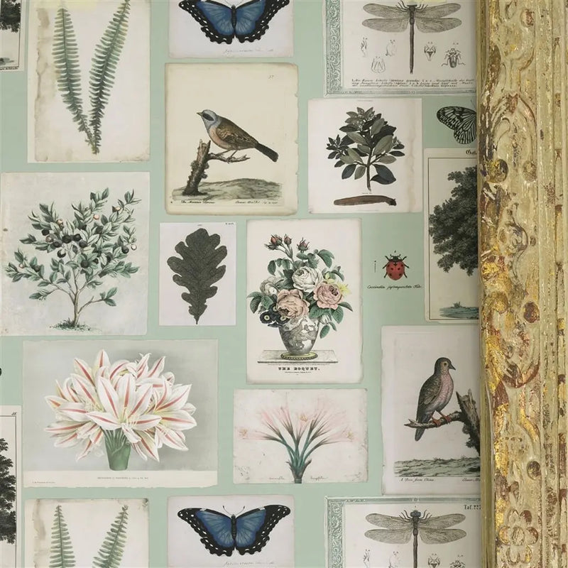 media image for Flora and Fauna Cloud Blue Wallpaper by John Derian for Designers Guild 228