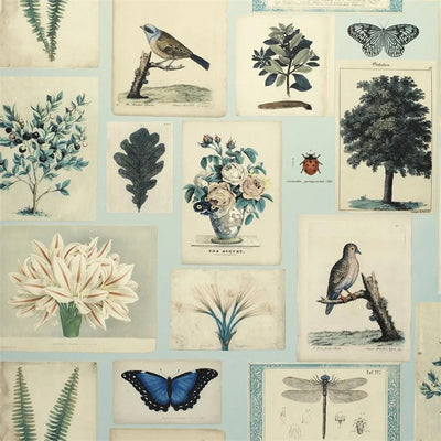 product image of sample flora and fauna cloud blue wallpaper by john derian for designers guild 1 511