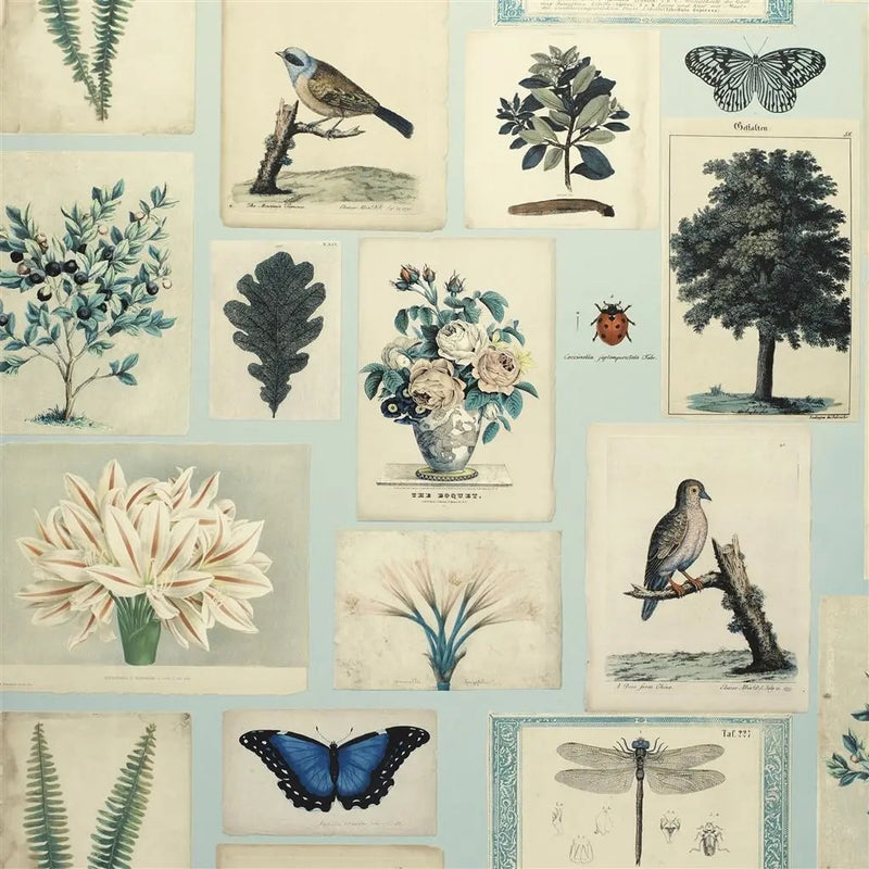 media image for Flora and Fauna Cloud Blue Wallpaper by John Derian for Designers Guild 281