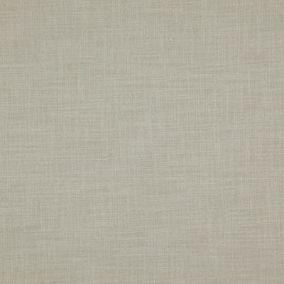 product image of Player Fabric in Light Greenish Grey 589