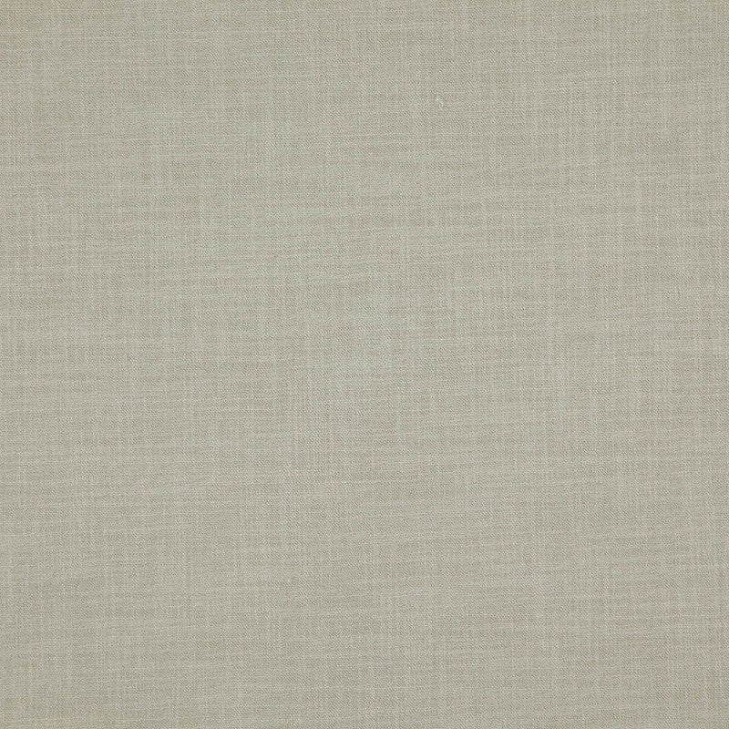 media image for Player Fabric in Light Greenish Grey 242