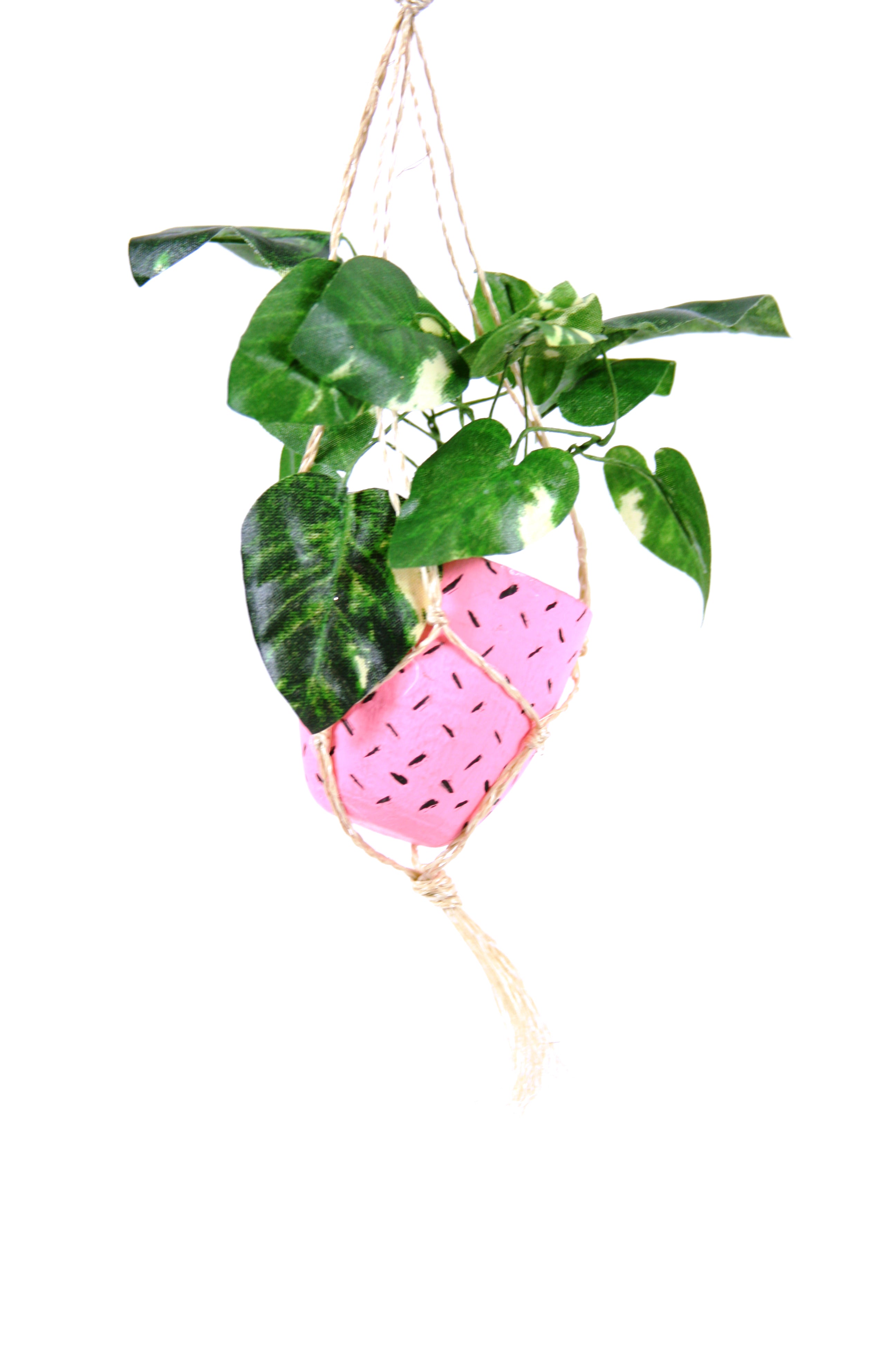 Shop Hanging Plant Pink Burke Decor