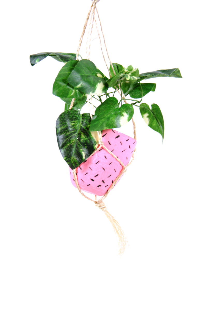 media image for hanging plant pink 1 257