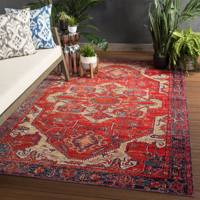 product image for Leighton Indoor/ Outdoor Medallion Red & Blue Area Rug 80