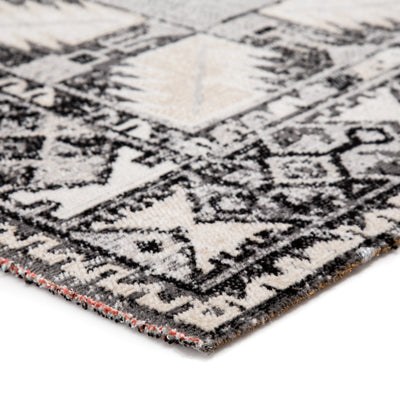 product image for Paloma Indoor/ Outdoor Tribal Gray/ Beige Rug design by Jaipur Living 35