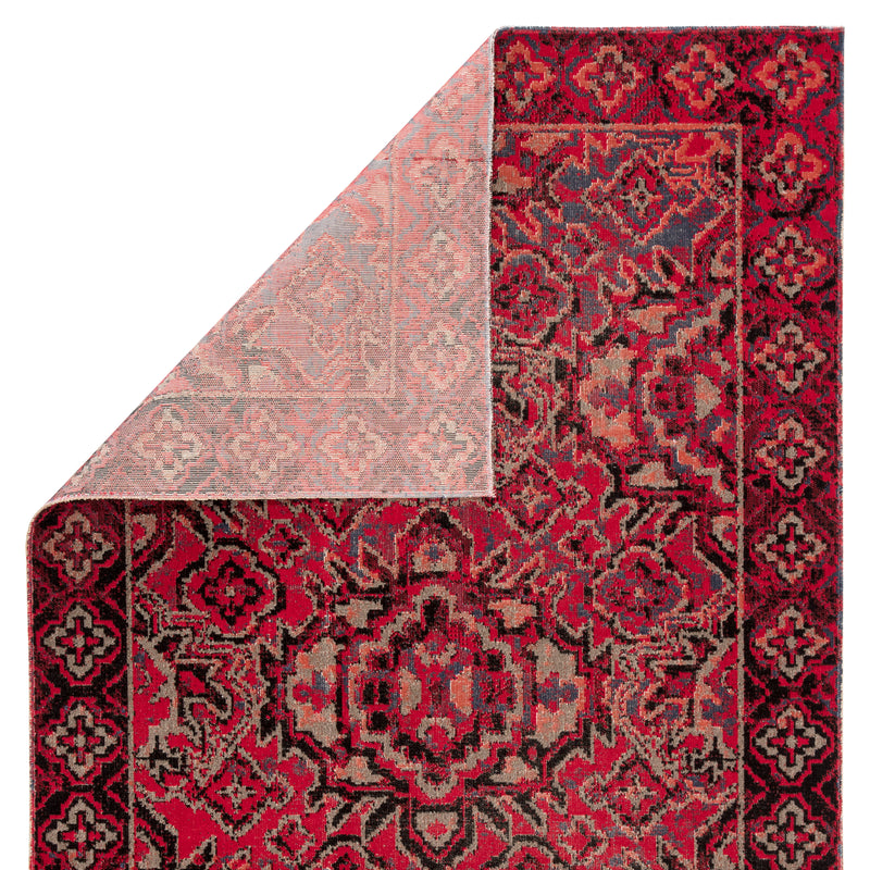 media image for Chaya Indoor/ Outdoor Medallion Red & Black Area Rug 226