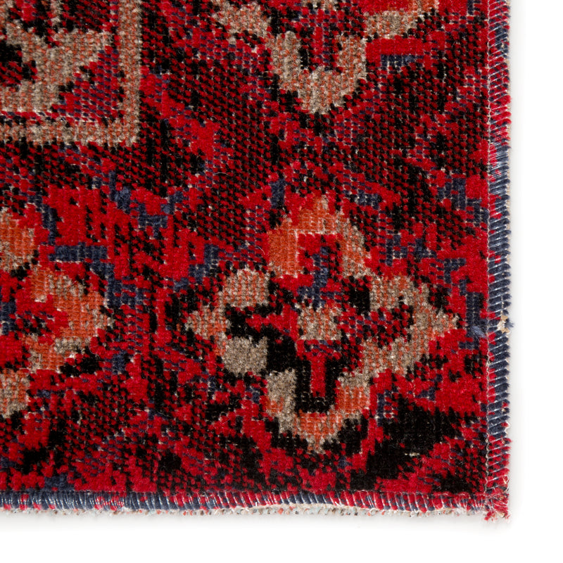 media image for Chaya Indoor/ Outdoor Medallion Red & Black Area Rug 23