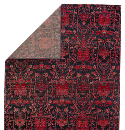 product image for Genesee Indoor/Outdoor Trellis Rug in Red & Blue by Jaipur Living 98