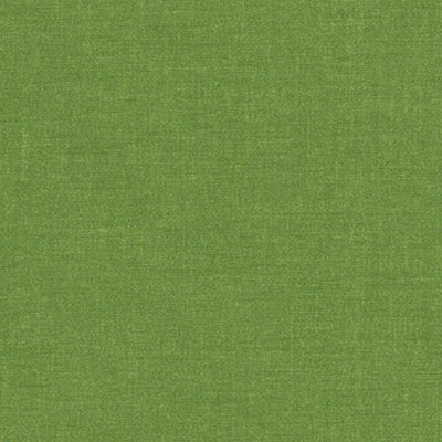 product image for Polished Fabric in Ggrass Green 31