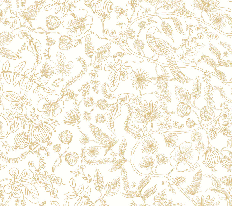 media image for Aviary Peel & Stick Wallpaper in Off White/Gold by York Wallcoverings 231