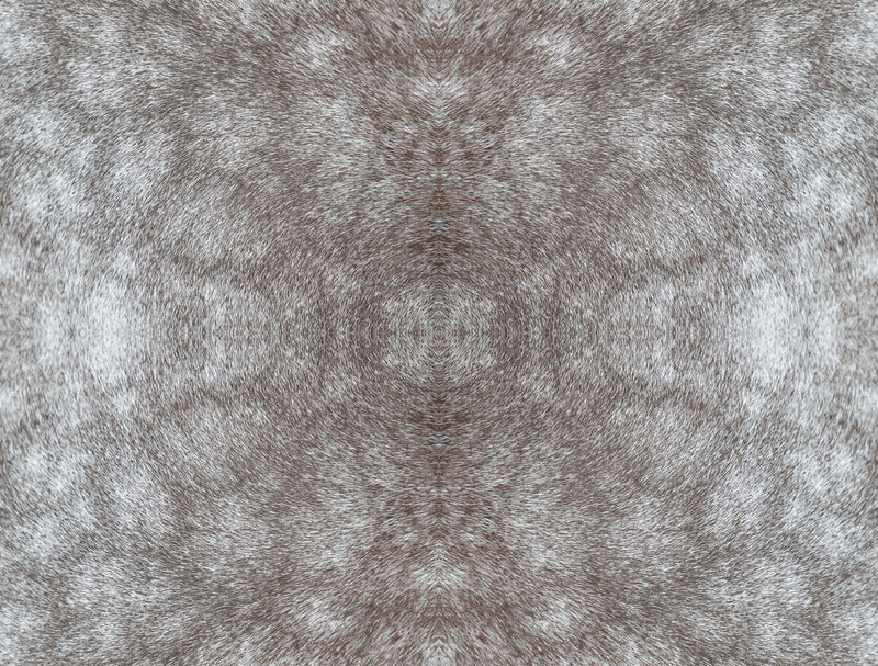 media image for Rose Dapple Warm Grey Peel & Stick Wallpaper by York Wallcoverings 20