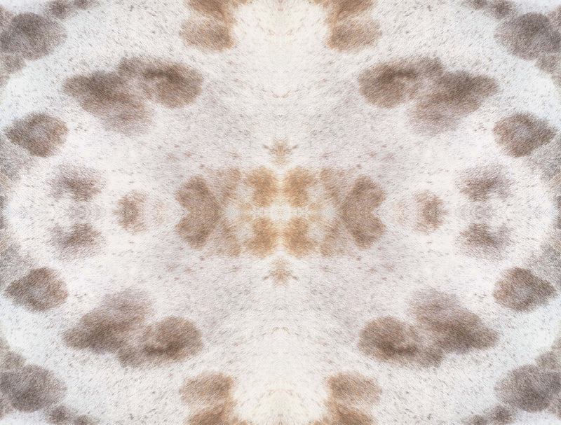 media image for sample leopard appaloosa off white peel and stick wallpaper by york wallcoverings 1 276