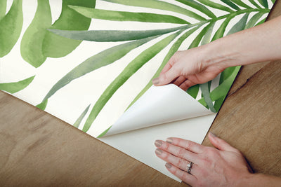 product image for Paradise Palm Green Peel & Stick Wallpaper by Candice Olson 72