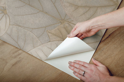 product image for Leaf Concerto Warm Taupe Peel & Stick Wallpaper by Candice Olson 23
