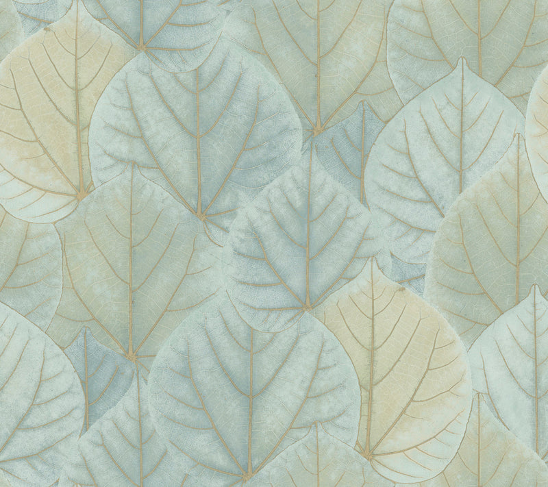 media image for Leaf Concerto Turquoise Peel & Stick Wallpaper by Candice Olson 224