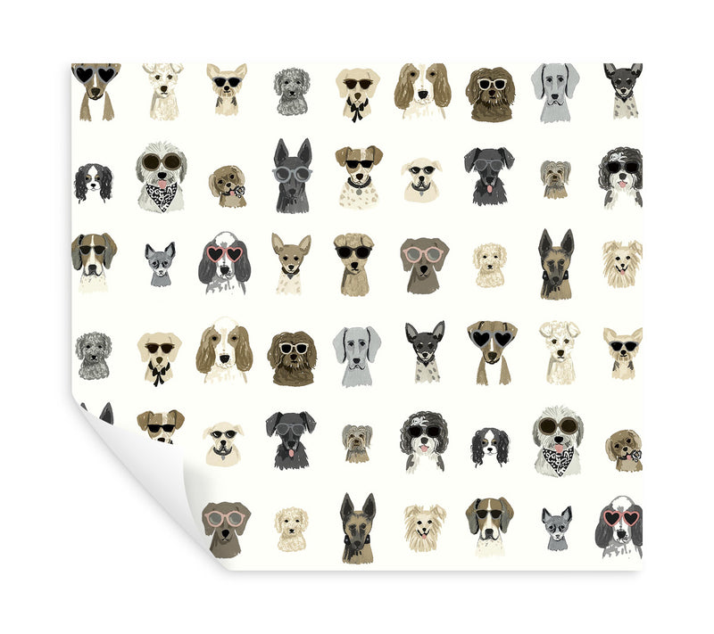 media image for Dog Days Grey Peel & Stick Wallpaper by York Wallcoverings 224