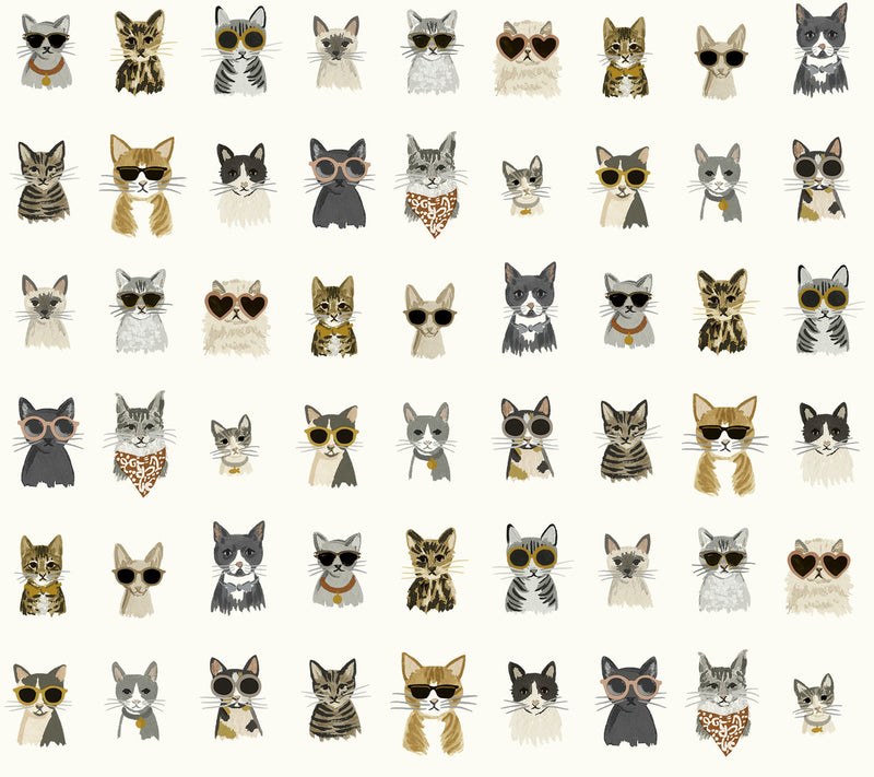 media image for Cool Cats Grey/Gold Peel & Stick Wallpaper by York Wallcoverings 225