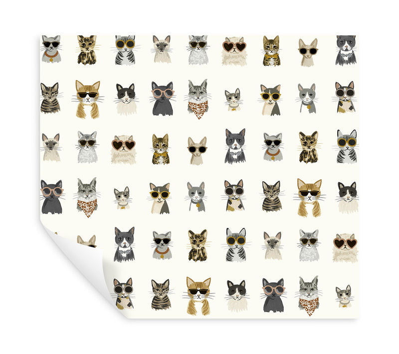 media image for Cool Cats Grey/Gold Peel & Stick Wallpaper by York Wallcoverings 215