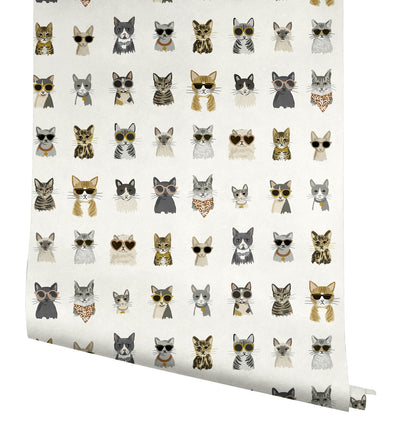 product image for Cool Cats Grey/Gold Peel & Stick Wallpaper by York Wallcoverings 66