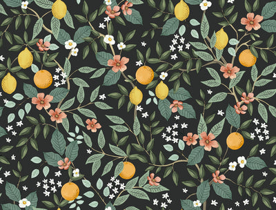 product image for Citrus Grove Black Peel & Stick Wallpaper by York Wallcoverings 97