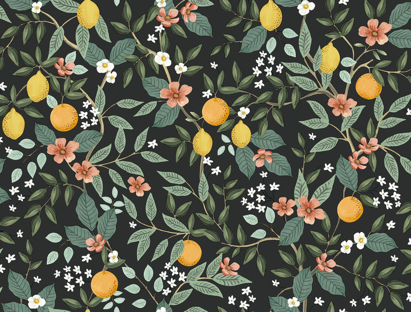 media image for Citrus Grove Black Peel & Stick Wallpaper by York Wallcoverings 281