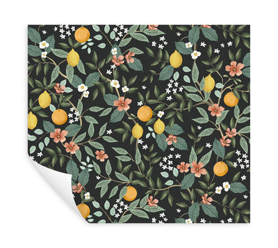 product image for Citrus Grove Black Peel & Stick Wallpaper by York Wallcoverings 19