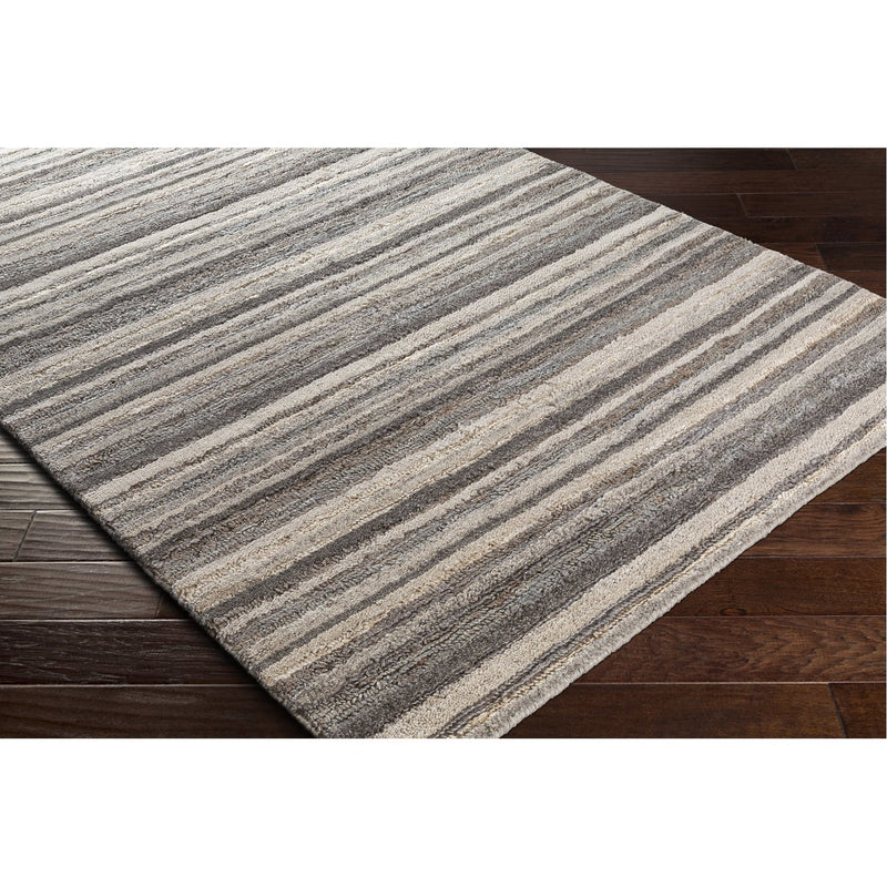 media image for Petra PTR-2300 Hand Woven Rug by Surya 243