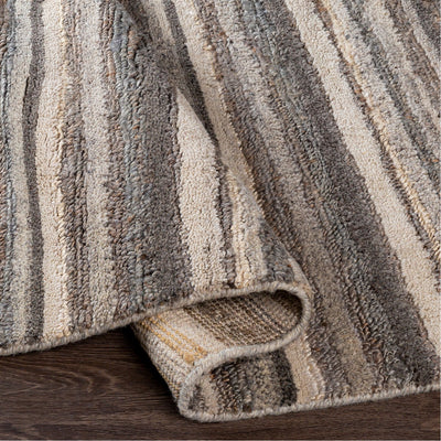 product image for Petra PTR-2300 Hand Woven Rug by Surya 31
