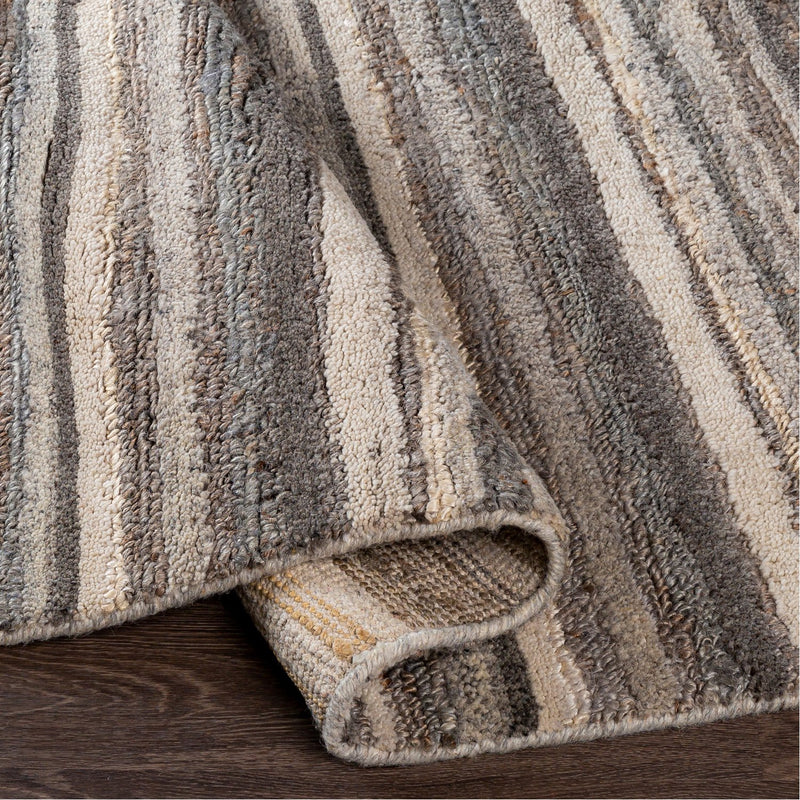media image for Petra PTR-2300 Hand Woven Rug by Surya 21