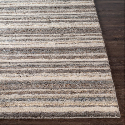 product image for Petra PTR-2300 Hand Woven Rug by Surya 63