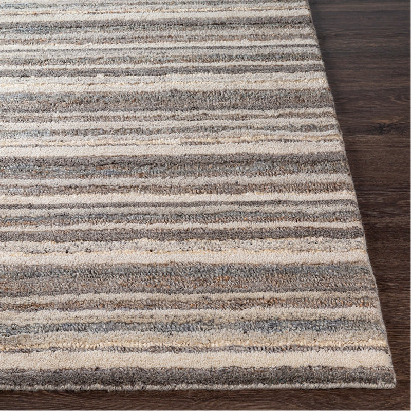 media image for Petra PTR-2300 Hand Woven Rug by Surya 238