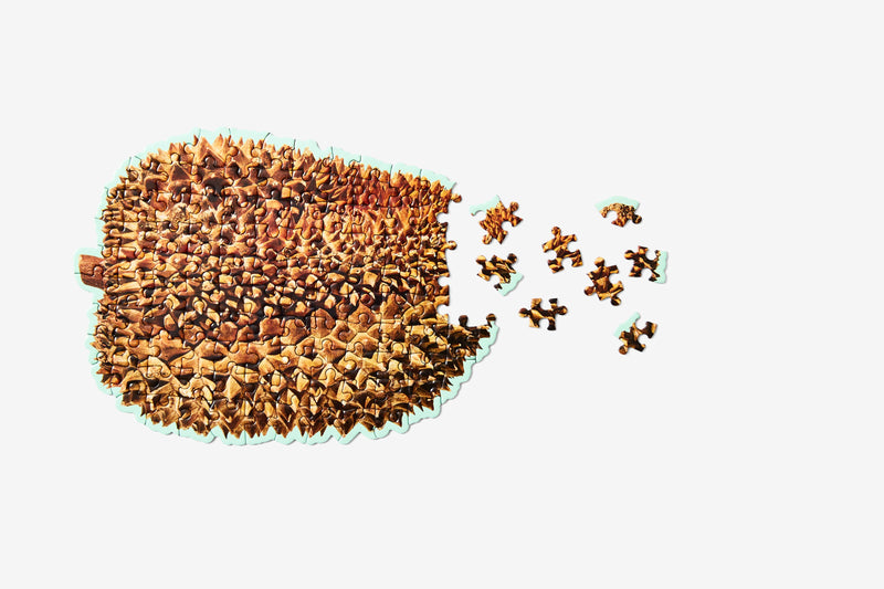 media image for little puzzle thing durian 2 210