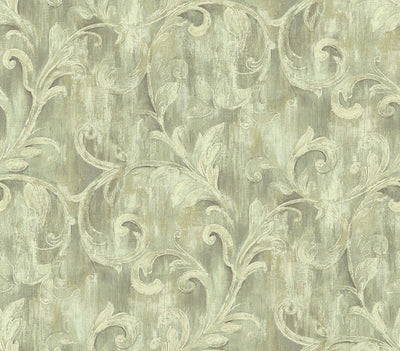 product image of Painterly Acanthus Wallpaper in Antique Linen from the Nouveau Collection by Wallquest 572
