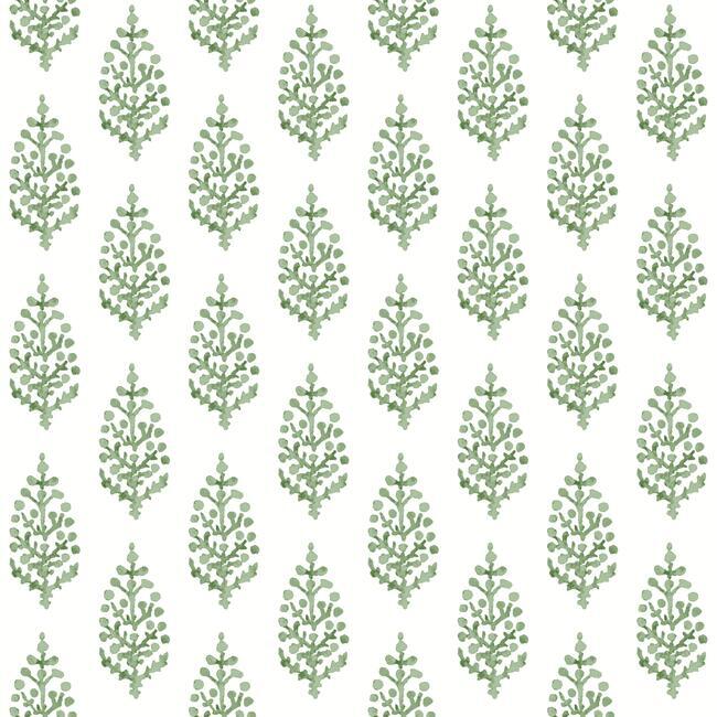 media image for Paisley On Calico Wallpaper in Green from the Simply Farmhouse Collection by York Wallcoverings 222