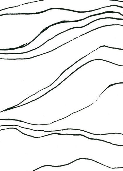product image for Paleolith Wallpaper in Charcoal design by Cavern Home 49
